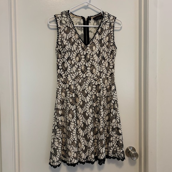 Dress Forum Dresses & Skirts - BLACK and Cream Lace Dress